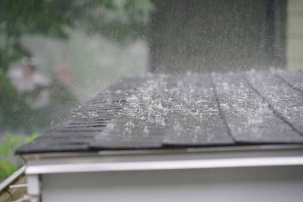 Best Metal Roofing Installation  in Brighton, IL