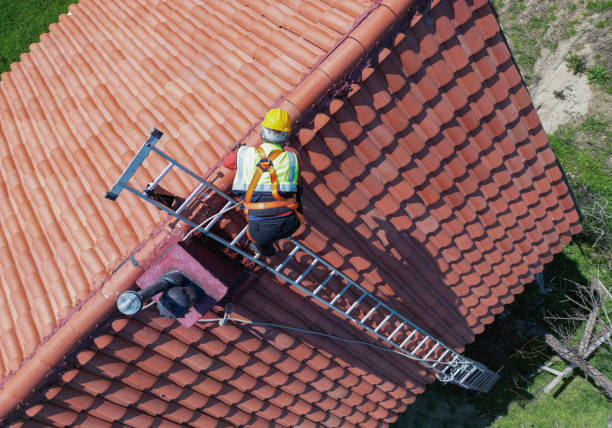 Best Skylights  in Brighton, IL