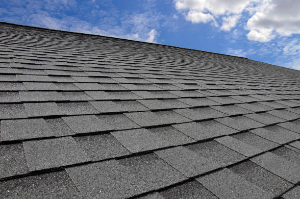Best Sheet Metal Roofing  in Brighton, IL